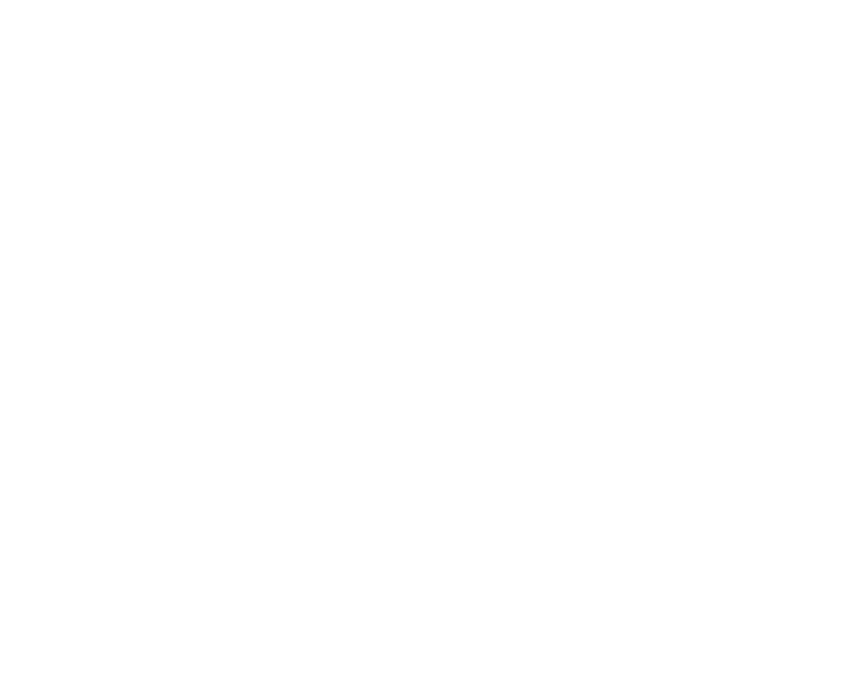 DJ Steve
